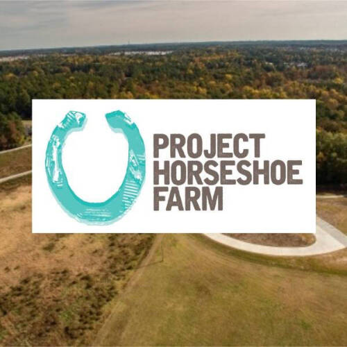 Project Horseshoe Farm
